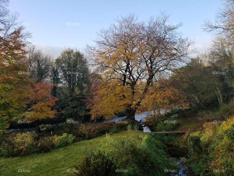 Breathtaking morning views in Northern Ireland