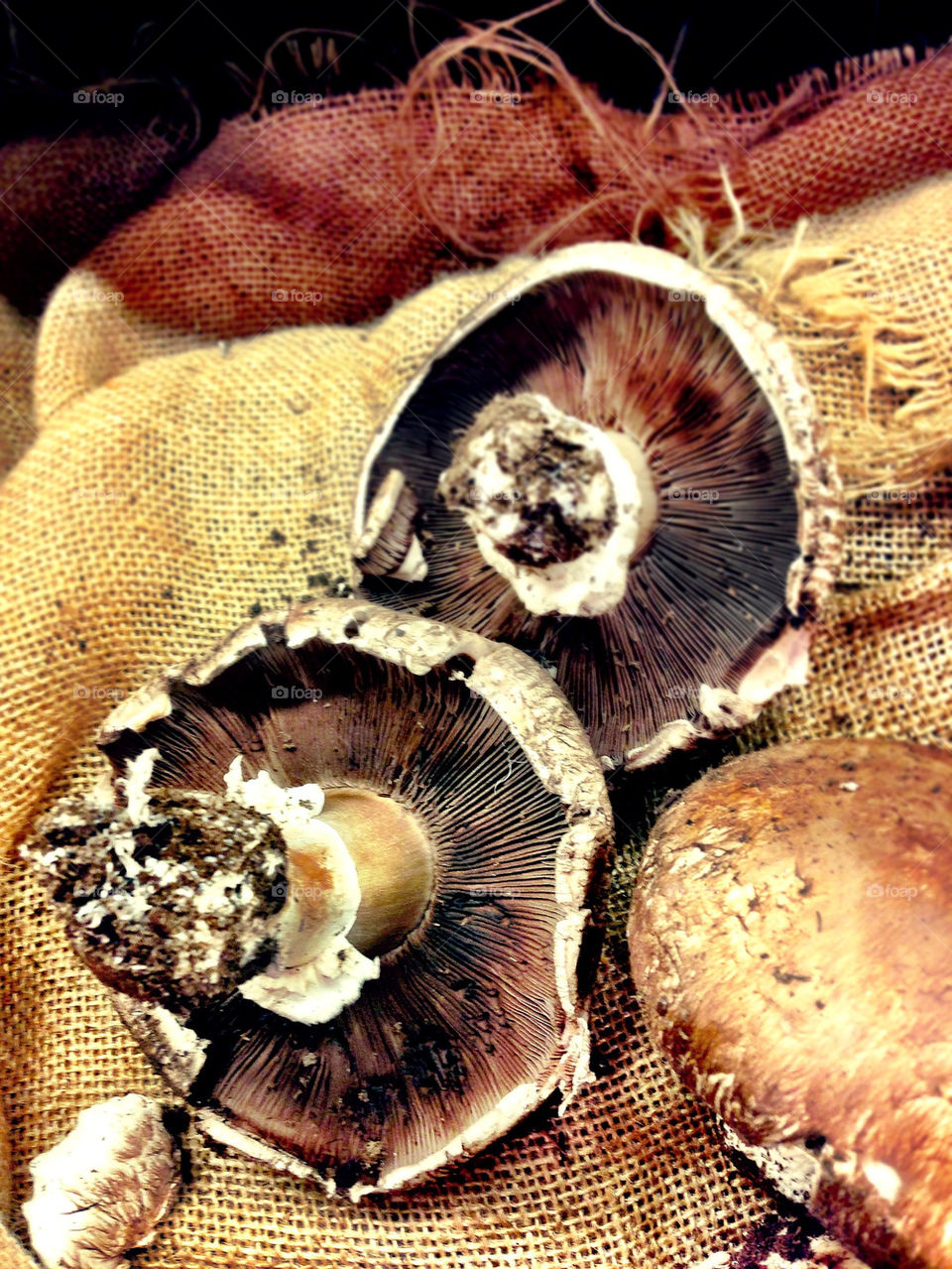 food raw market mushroom by bsa