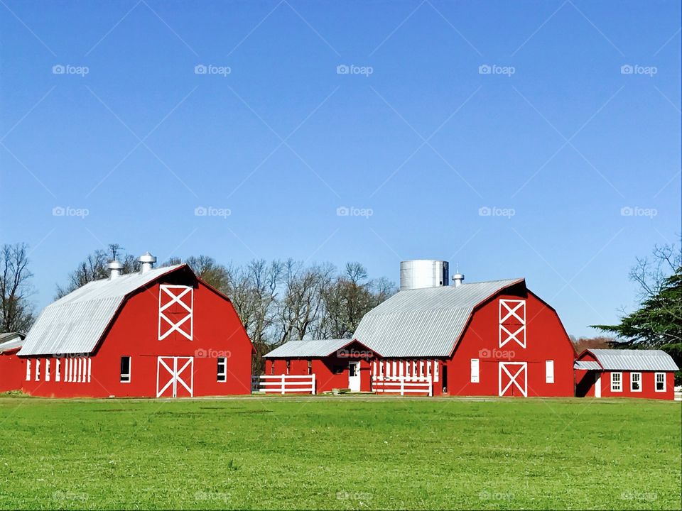 Red Farm Buildings