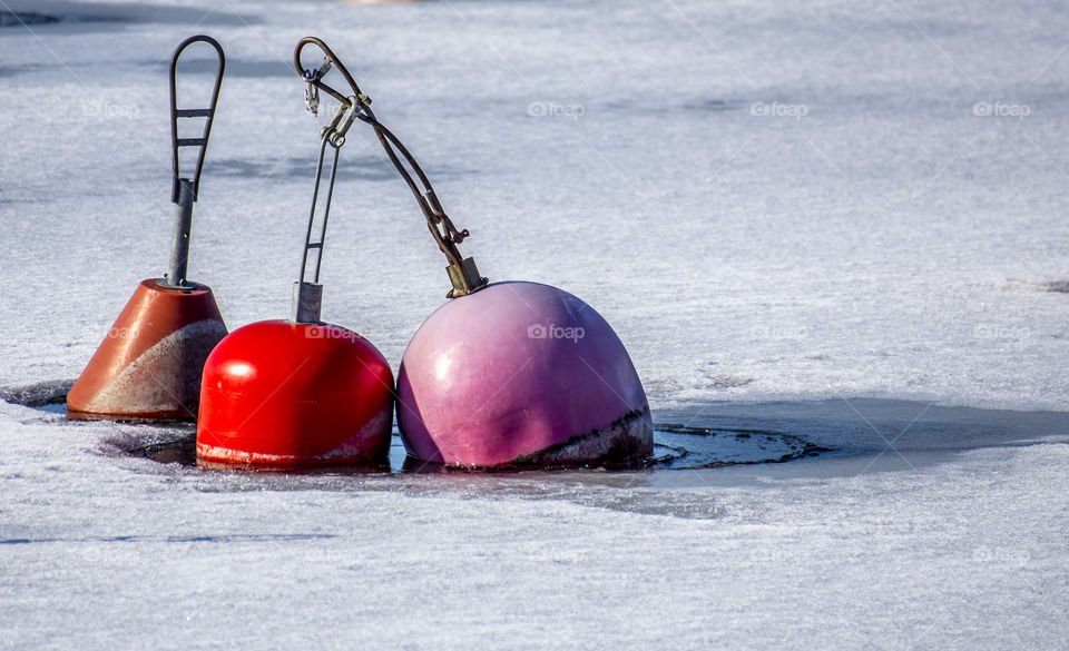 buoys in the ice