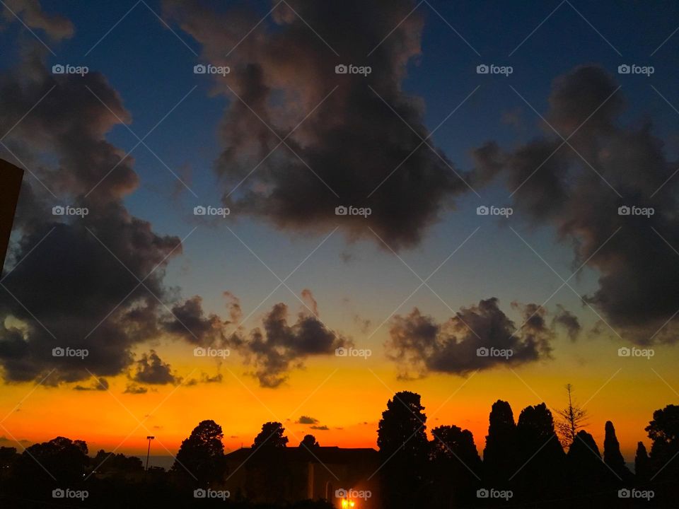 Dramatic sunset over Tree Silhouettes in magical Tropea in Italy.If you look carefull you can see the shape of Stromboli vulcano in the distance.Grey Clouds over an orange sky waiting for the night to fall on them.City light are lit making it magical