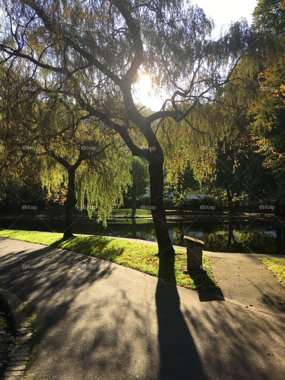 A stunning afternoon in Bicclescombe Park in Ilfracombe, North Devon. Autumn is here, sunshine is out and the clear reflections bring clarity to the day, plus the long beautiful shadows 