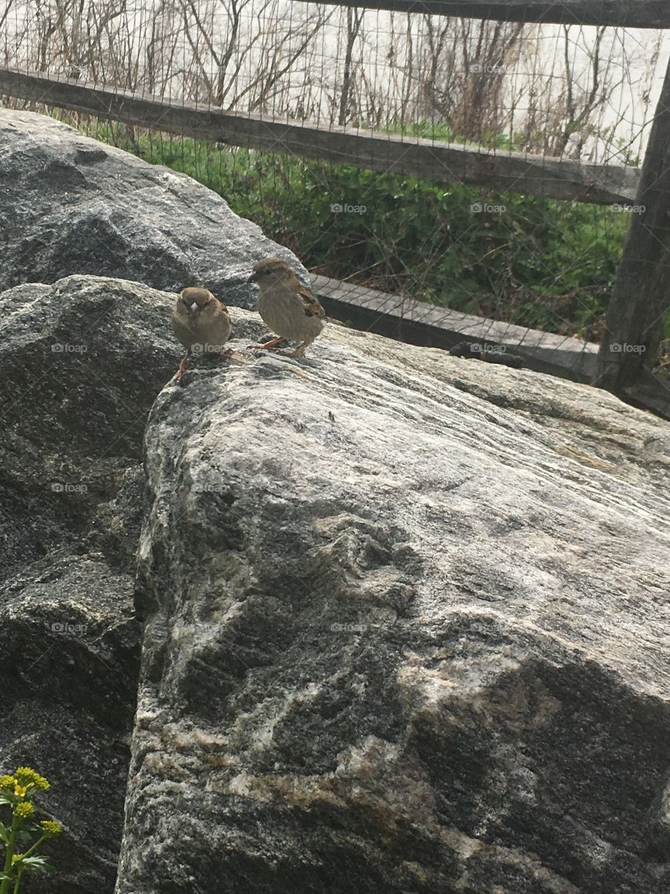 Just chilling in front of me 