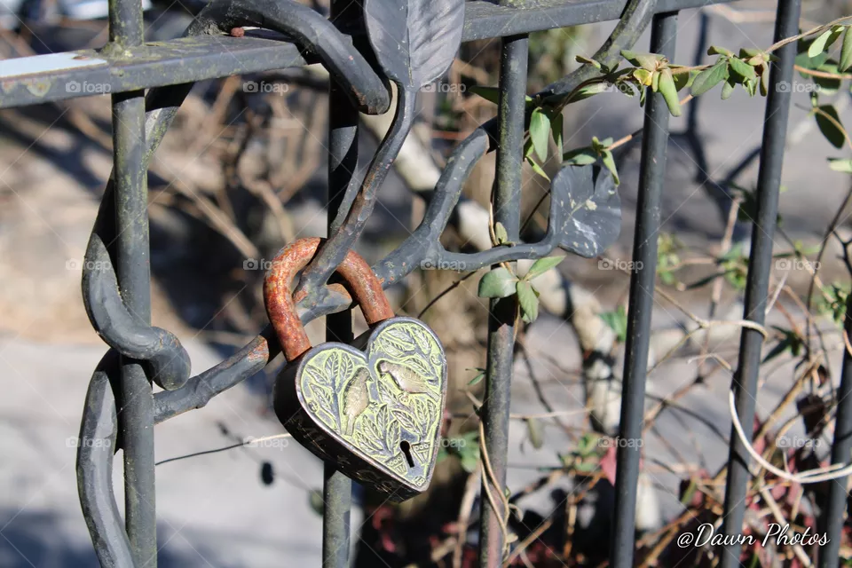 locked love