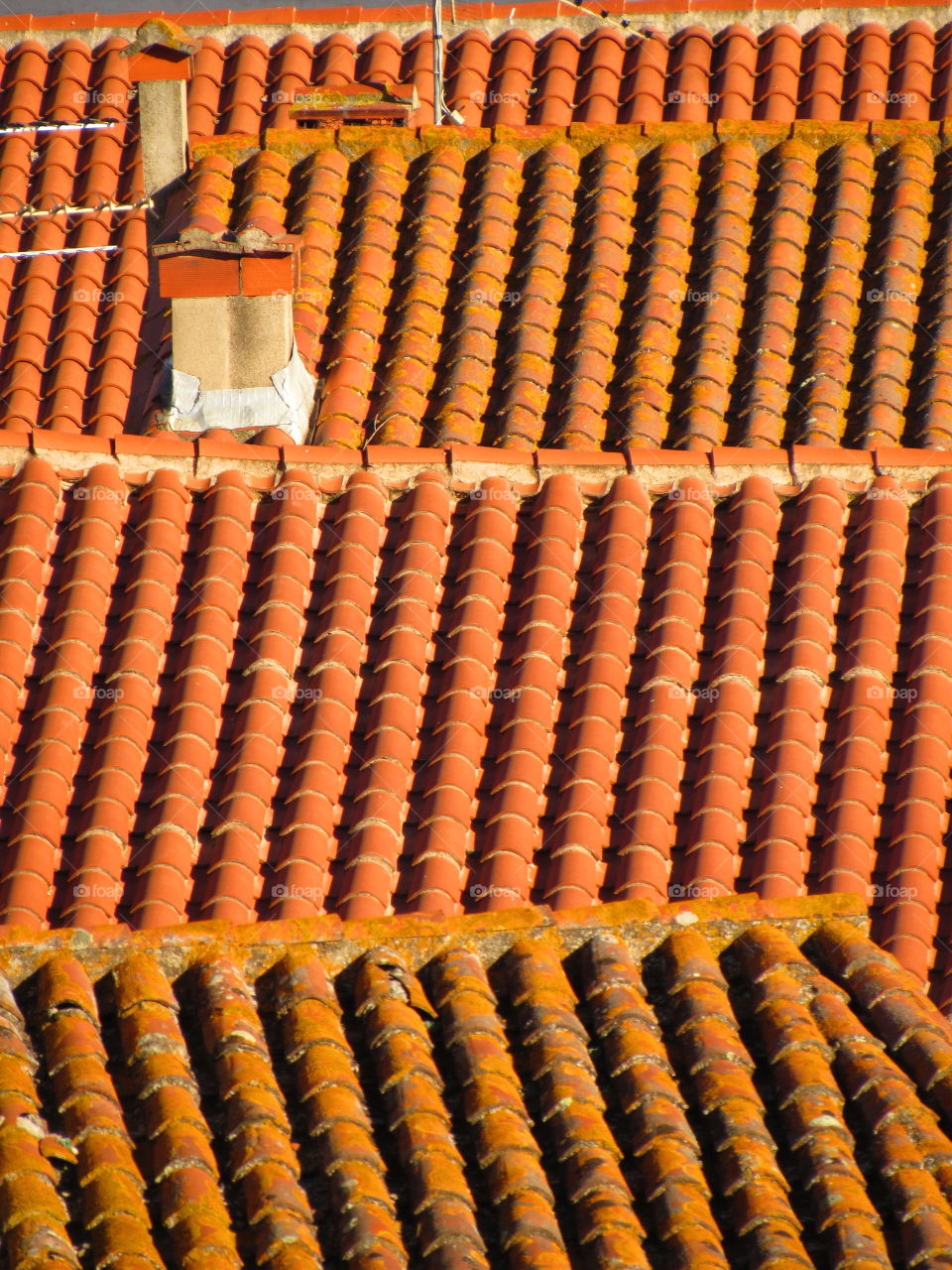 roofs