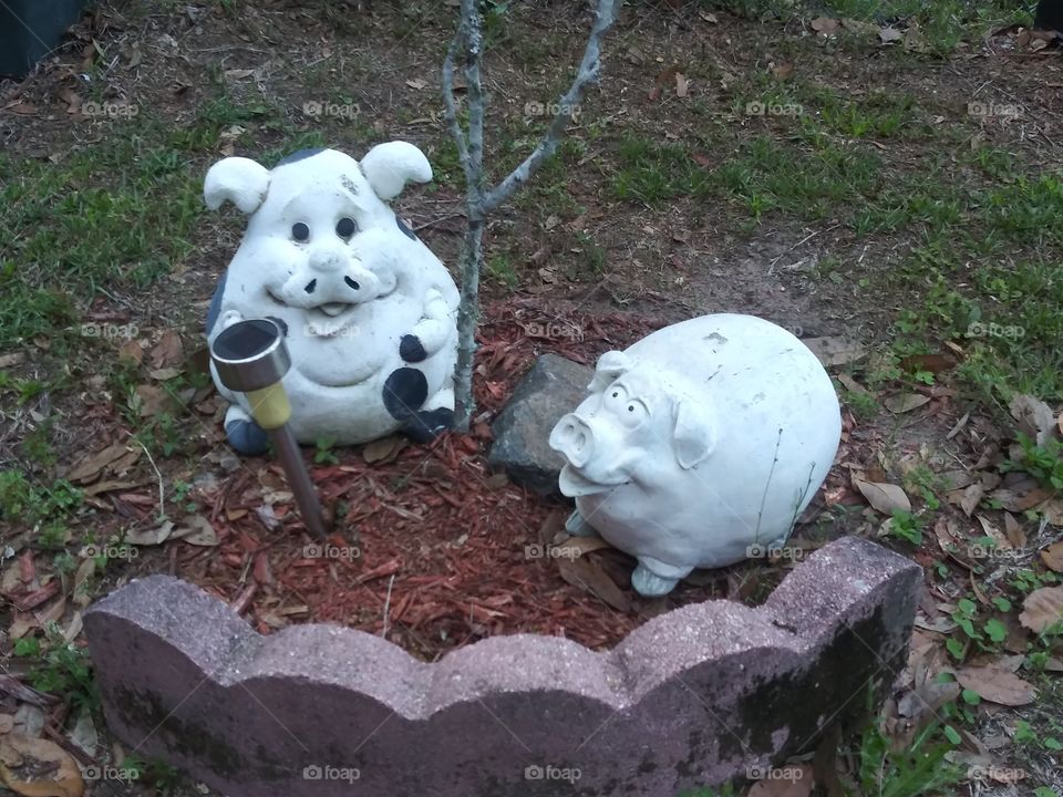 Garden Pigs