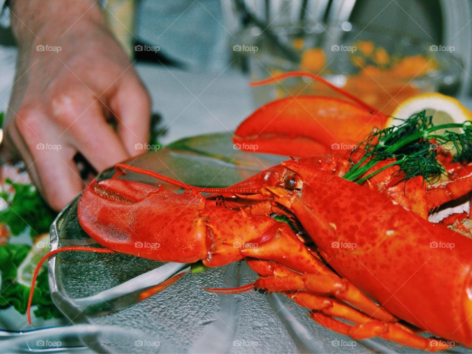 Close-up of lobster