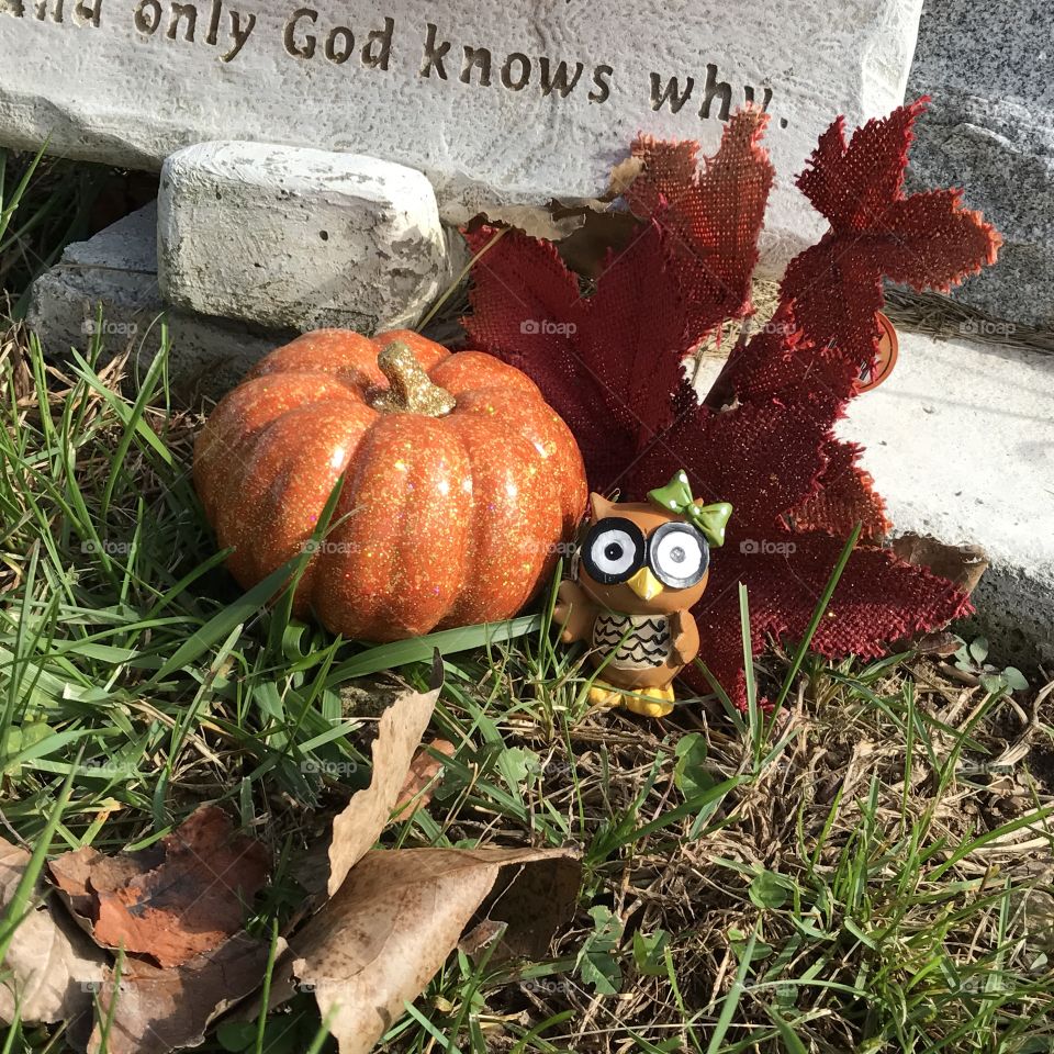 An owl figurine and a pumpkin are left by a gravestone in celebration of autumn.