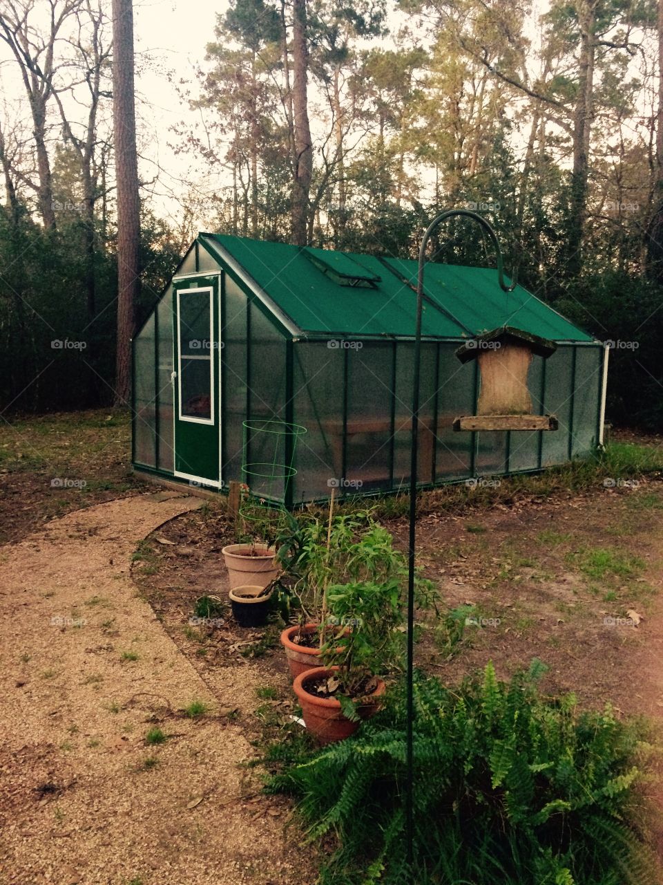 Vintage greenhouse