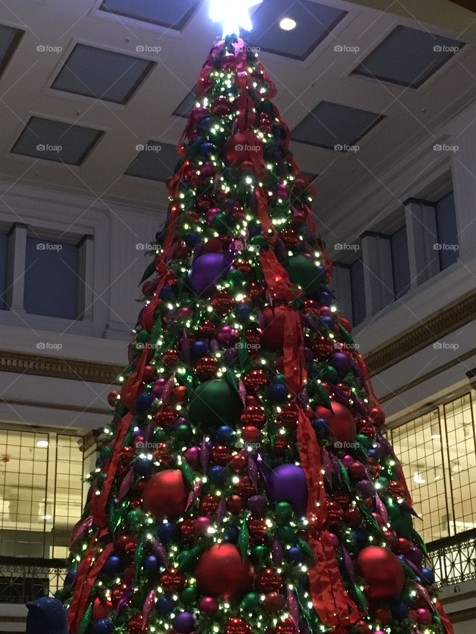 Macy’s Christmas tree