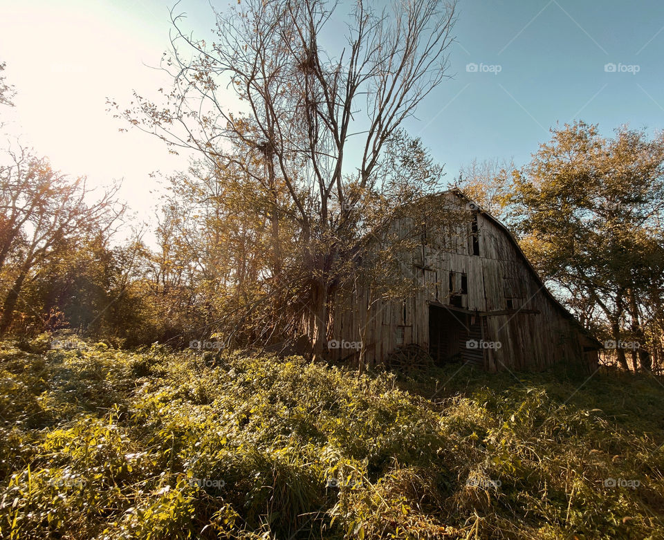 Old barn