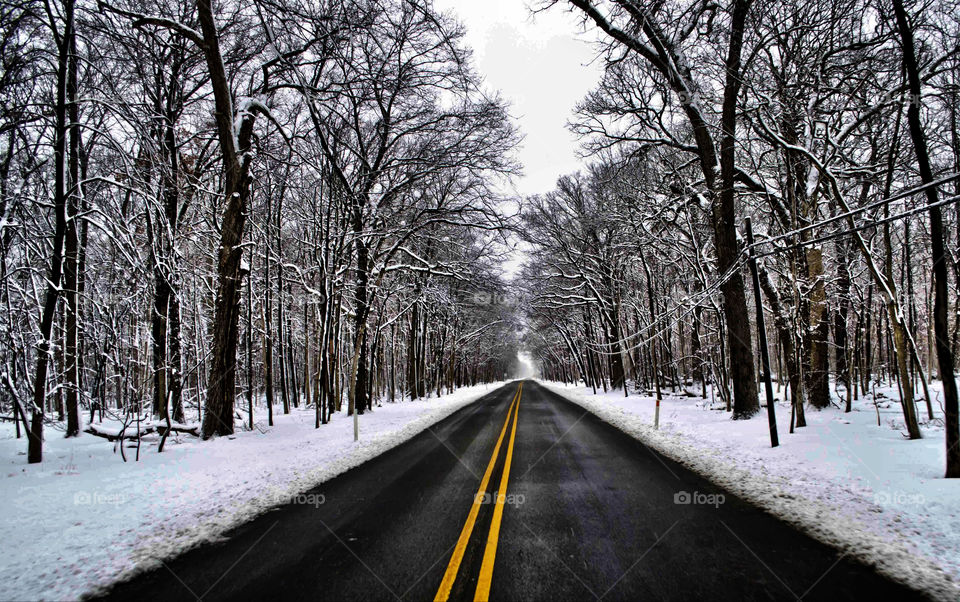 Empty road passing through bare trees