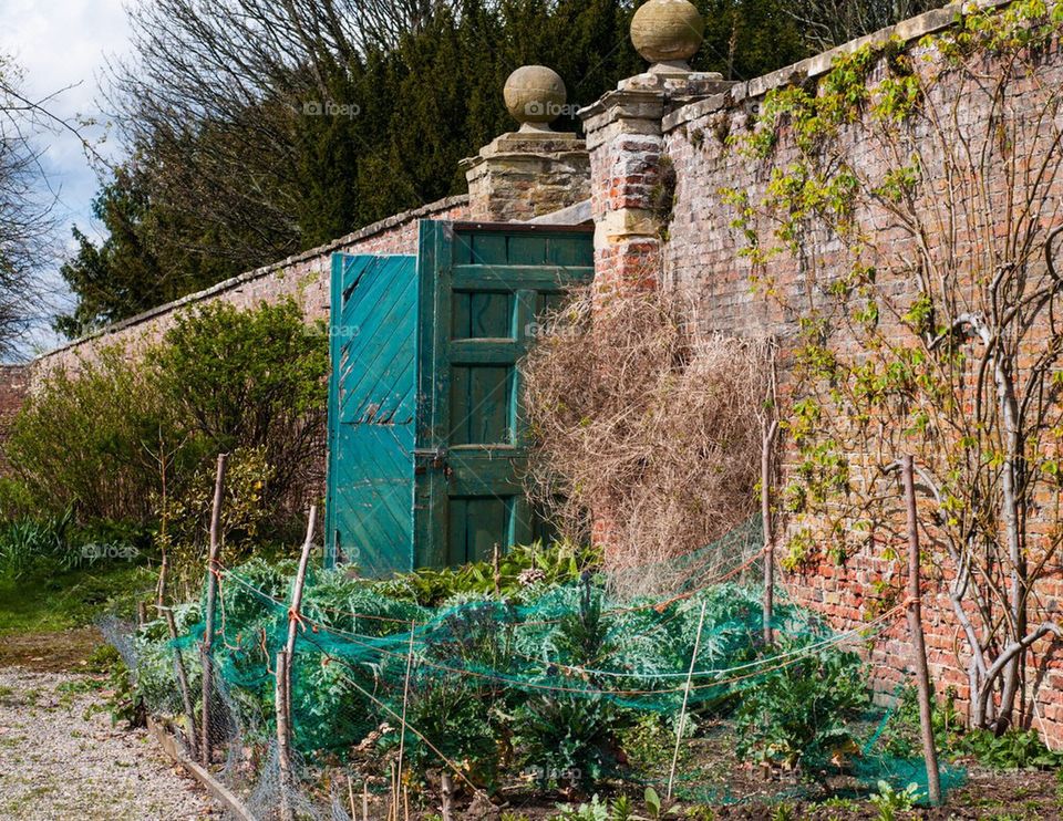 Inside the Walled garden