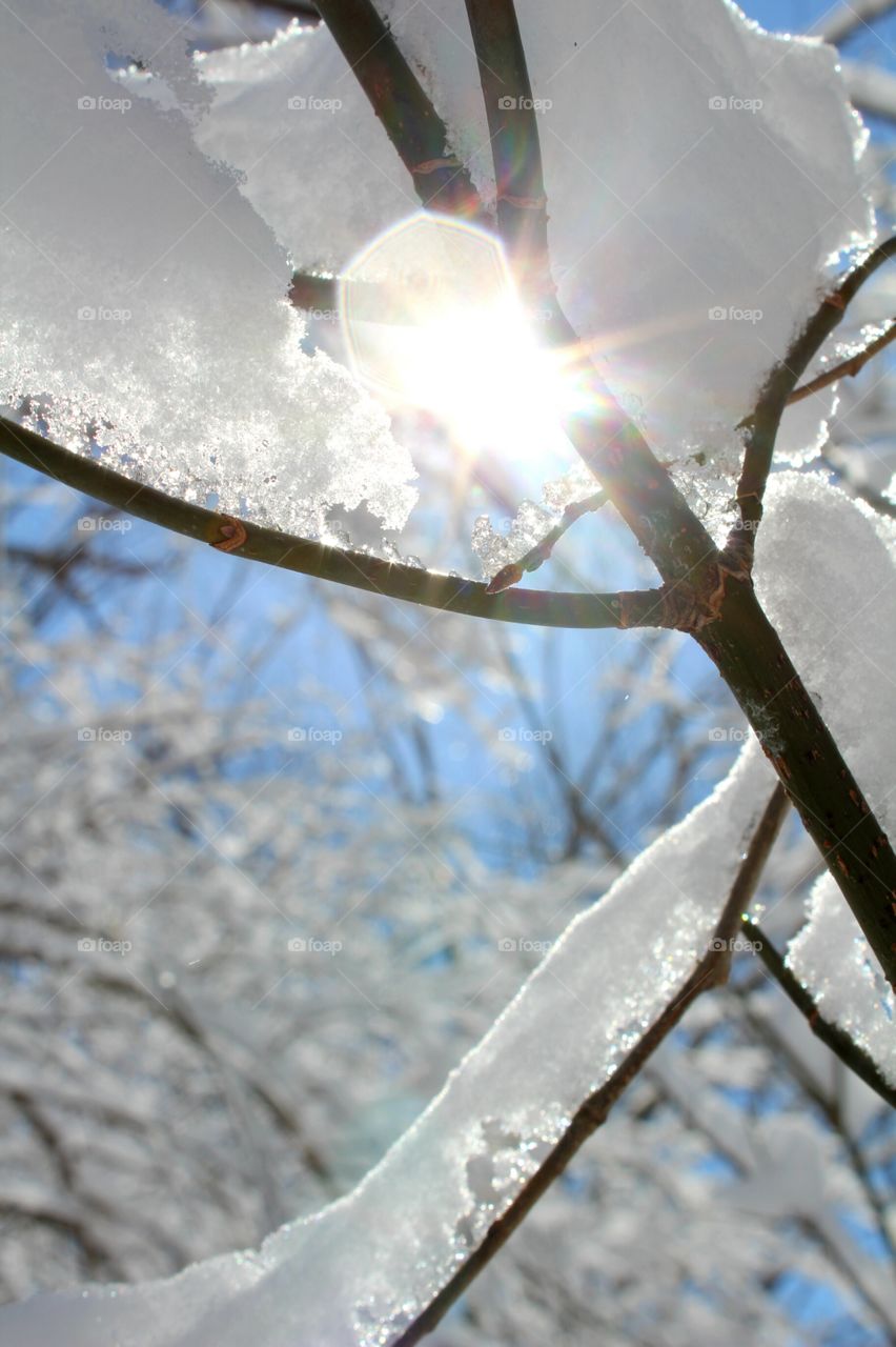 Snow and sunshine
