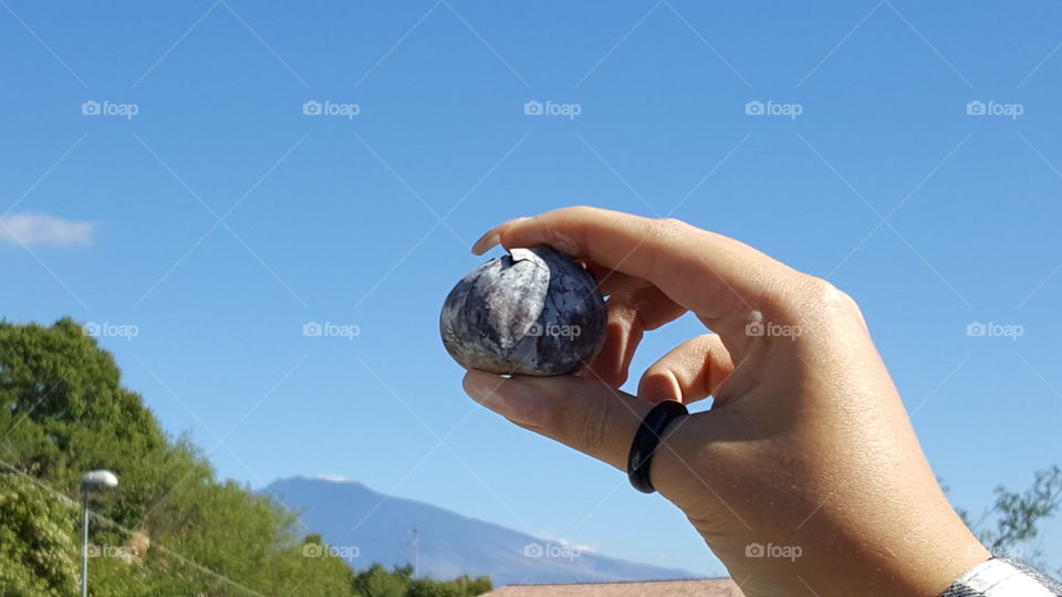 etna volcano,mano , castagna