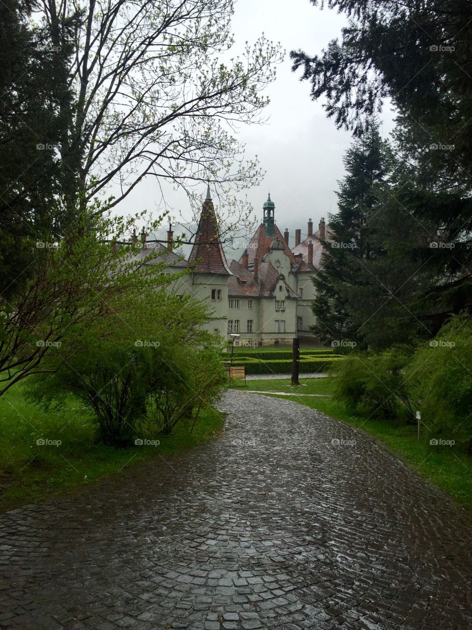 Rain makes everything juicier