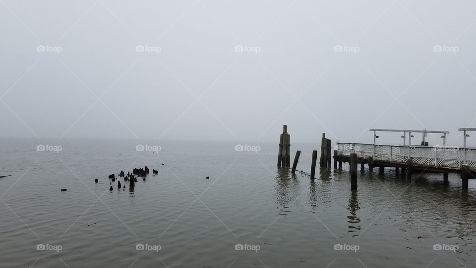 Fog on the Potomac