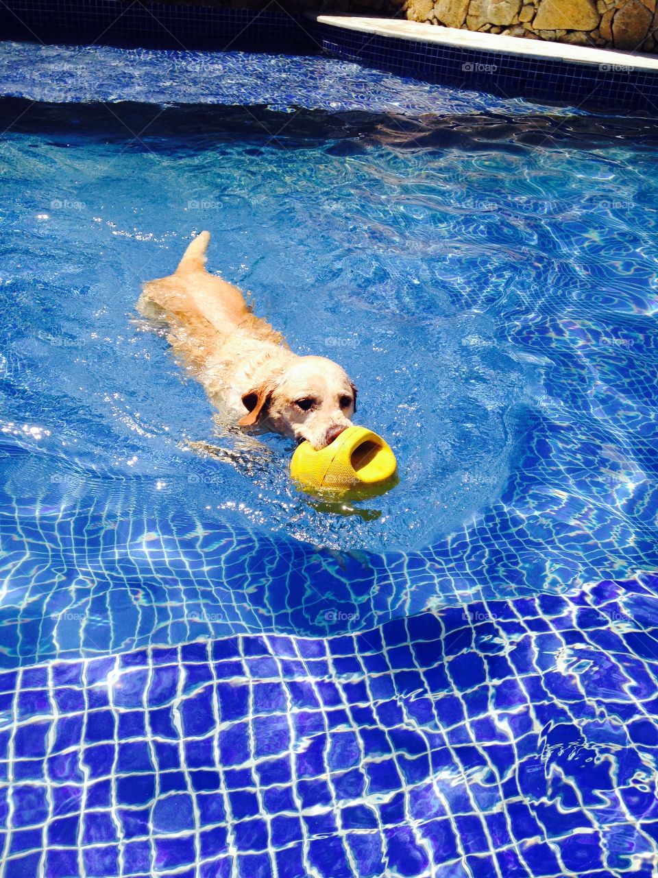 Love swimming with balls