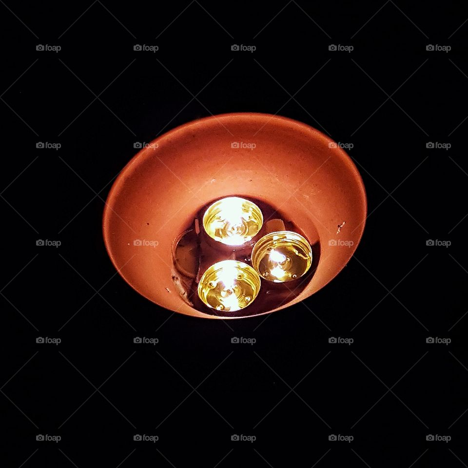 Cintonella tealights in pot