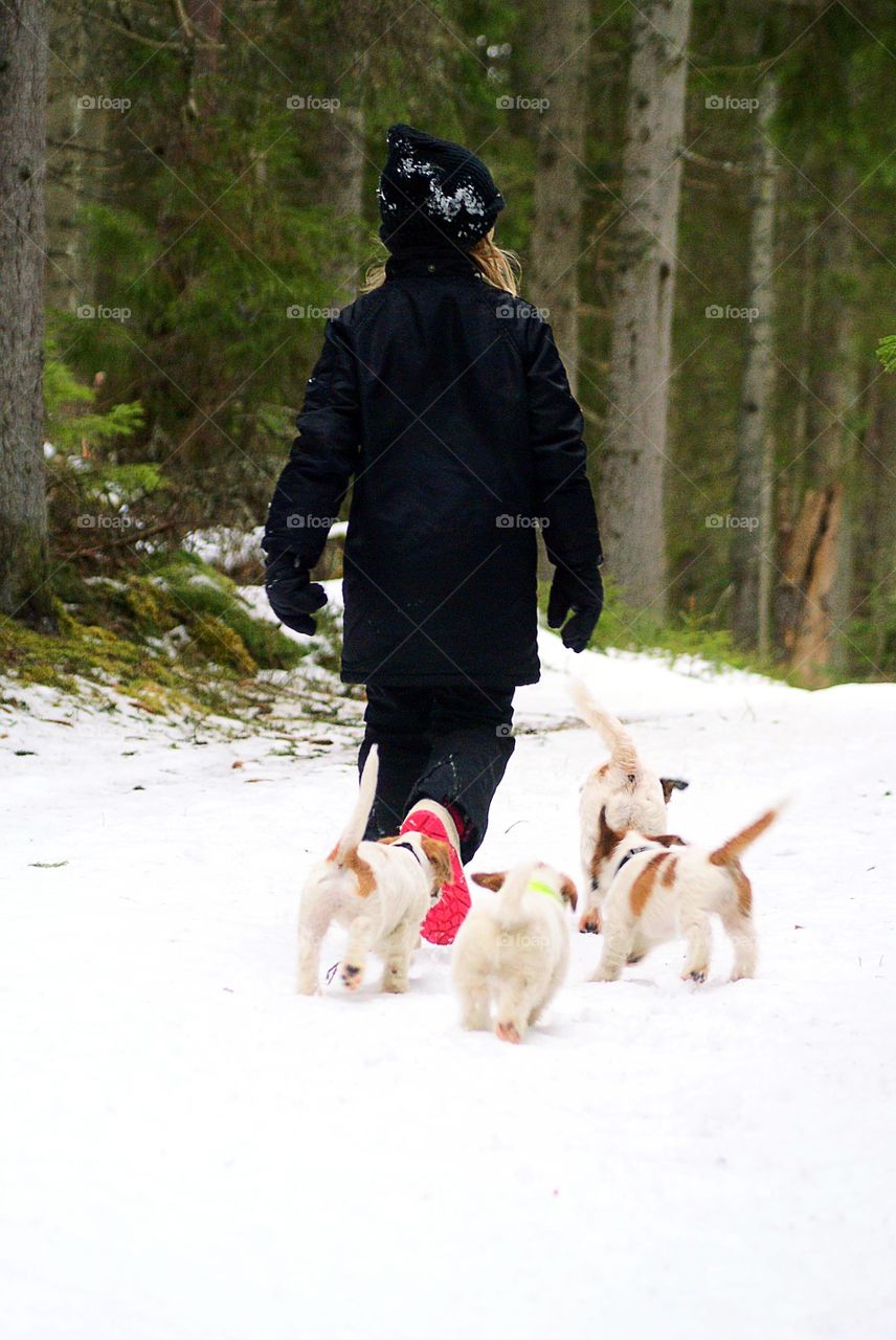 Rear view of girl walking with puppies on snowy path in the forest