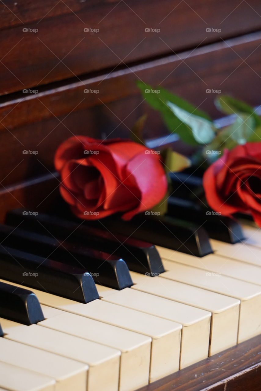 What’s black, white, and red all over? Not a newspaper — try “roses atop piano keys”. 
