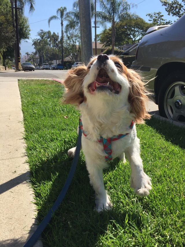 Sunshine in my face