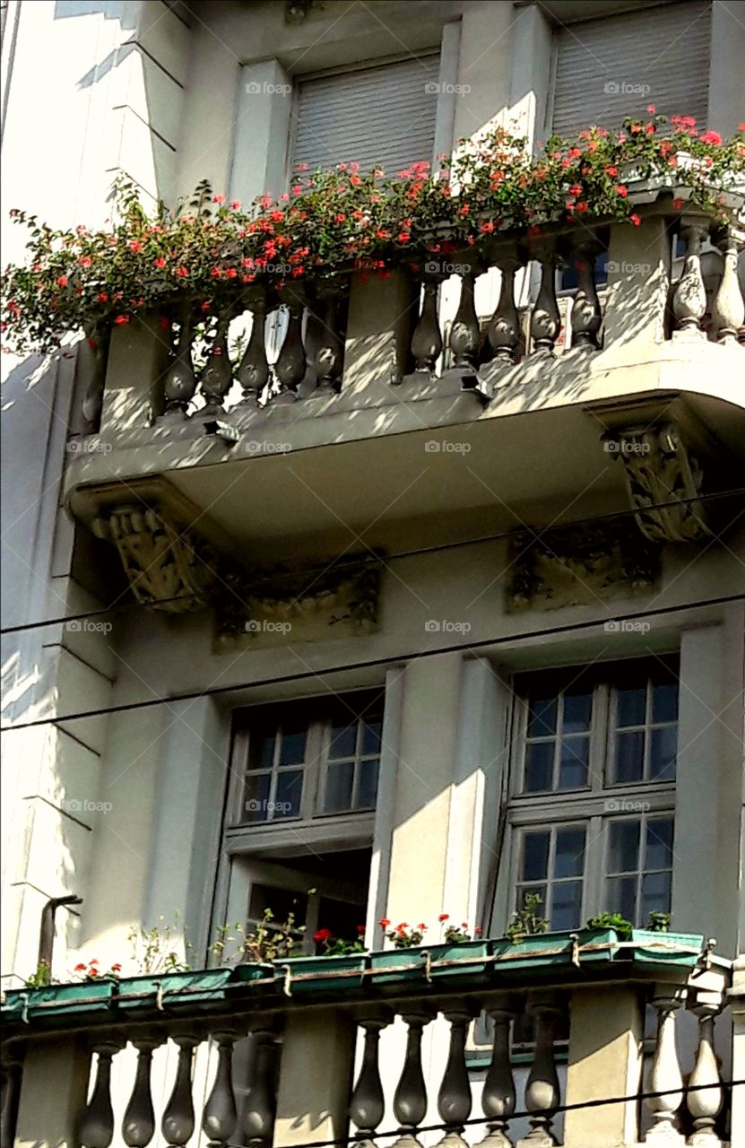 Sommer balcony in Belgrade
