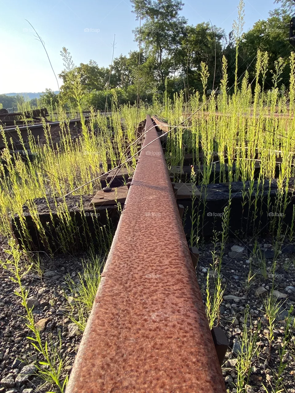 Abandoned tracks 