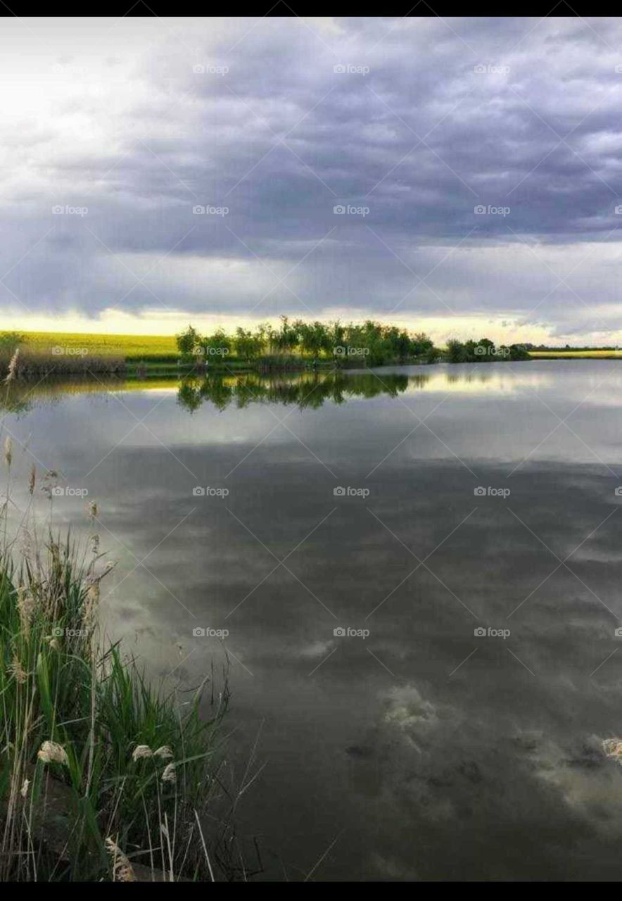 A lake with fish