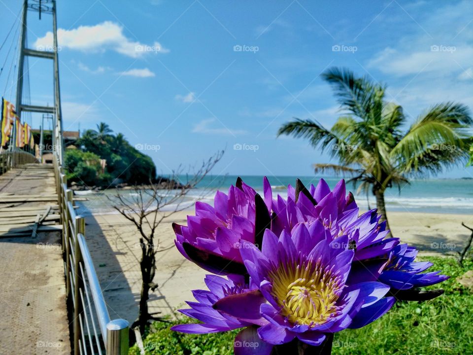 Paravi Duwa Buddhist temple is located in Matara, Sri Lanka. The Temple was established on a charming island encompassed by the Indian Ocean.The pure elegance of the Temple attracts people of all faiths towards it.