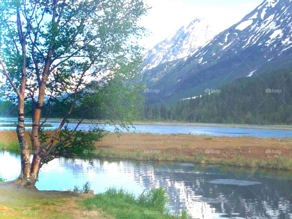 Silent sentinal watches over the river.