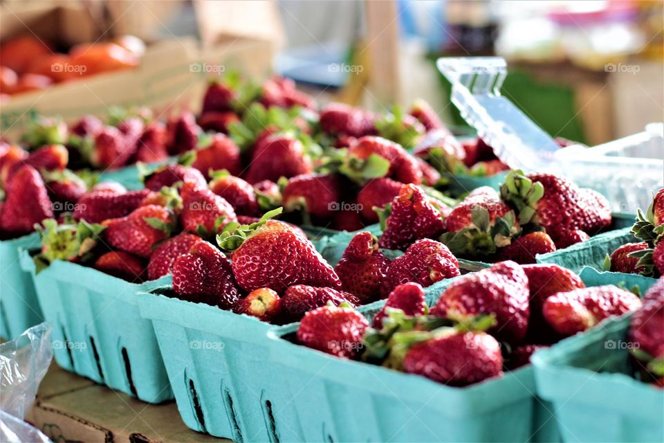 Fresh Farmers Market Strawberries