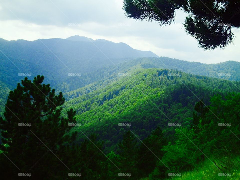 Scenic view of mountain range