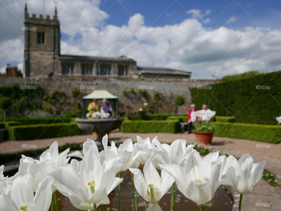 Garden. Stately home 