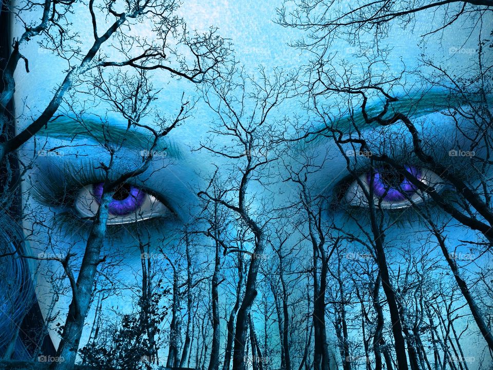 Forest. Night. Blue eyes. Trees. Sky.