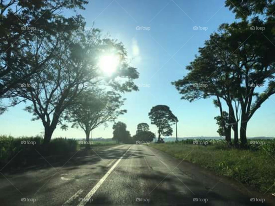 Sol lindo no Brasil💜💛💚