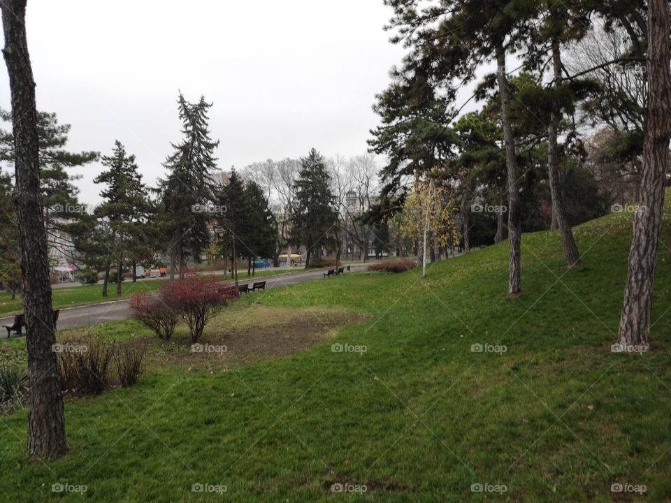 Belgrade Serbia Kalemegdan park winter scenery