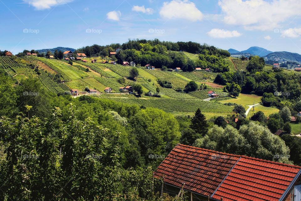 Beautiful landscape scenery of countryside and vineyards at Klenice, Croatia, county hrvatsko zagorje