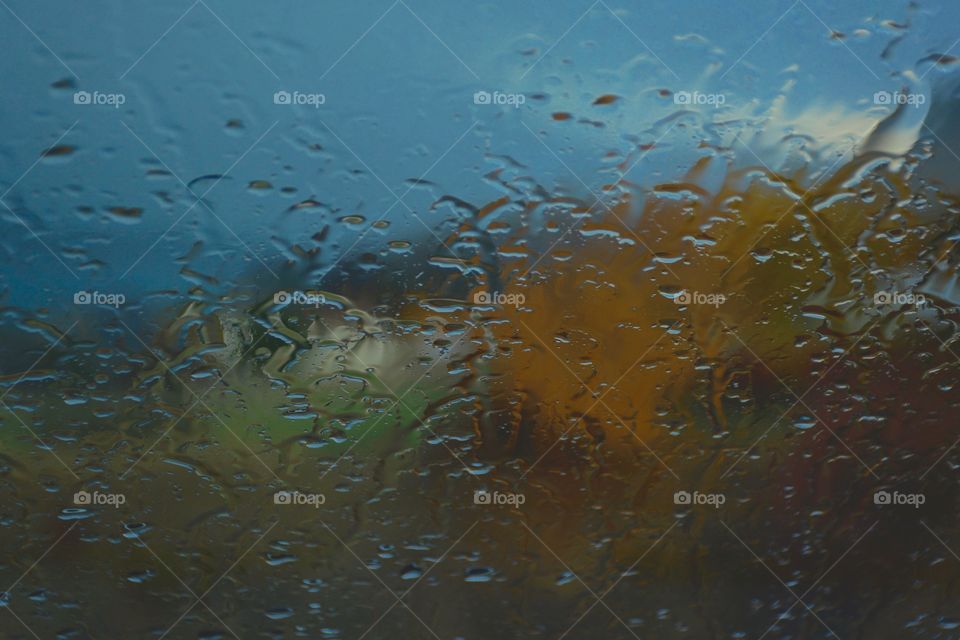 Off focus fall colours 