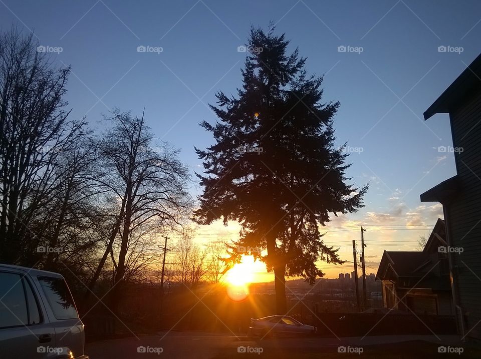 sunrise sun orange glare rays silhouette trees cars morning sun rise