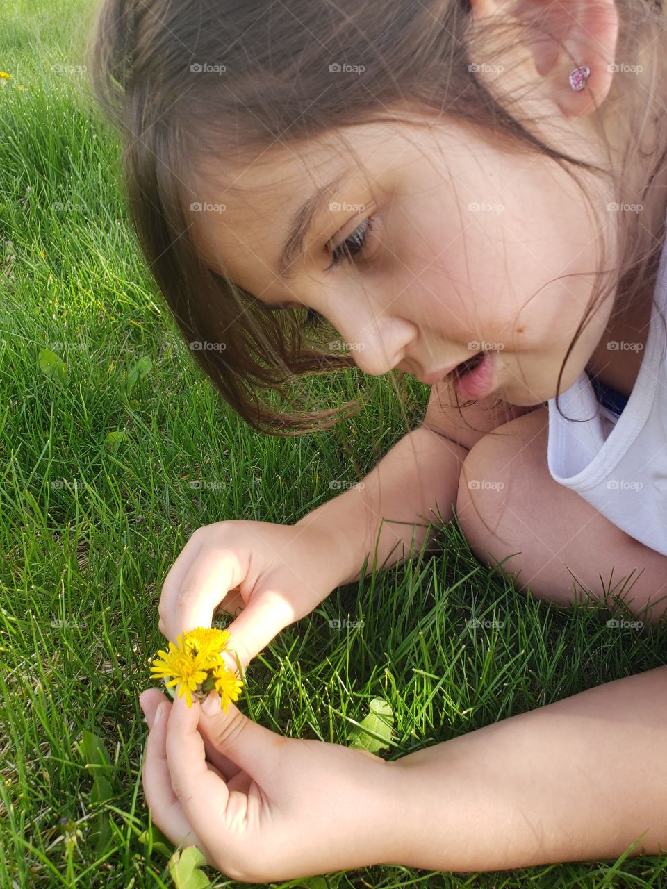 concentrating on flowers