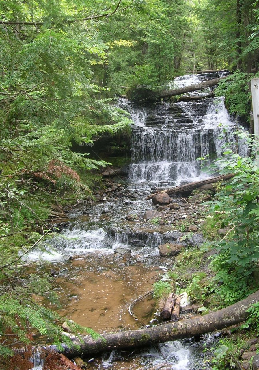 Waterfall in the forest. Photo taken in upper peninsula in MI. Waterfall and rushing water with lush green trees and vegetation.