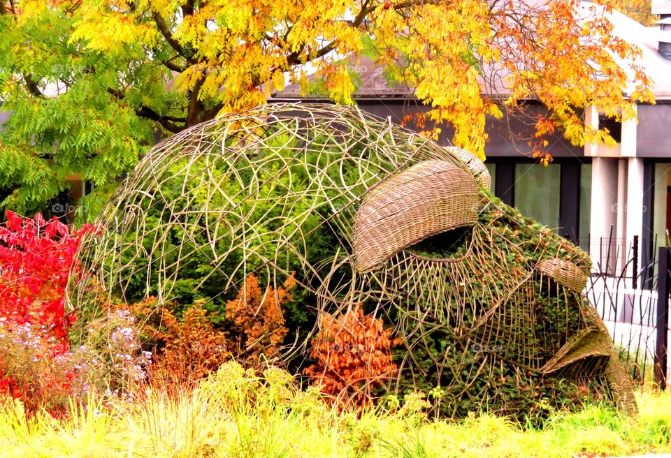 urban gardening