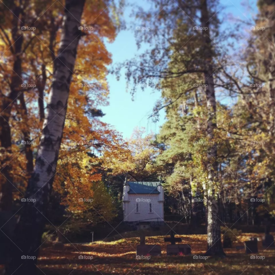 Autumn