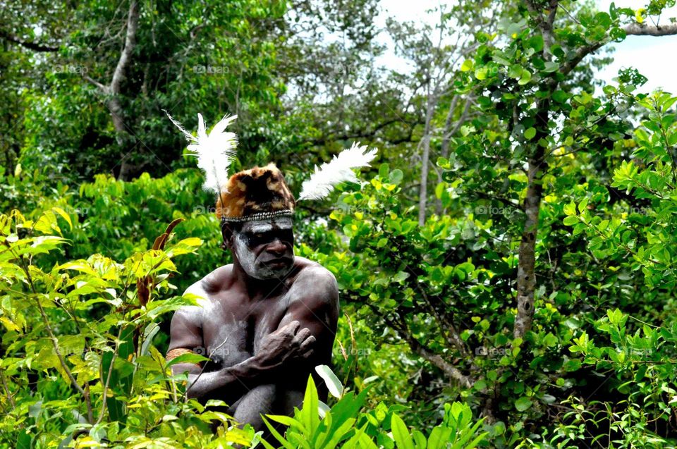 --In the jungle.....