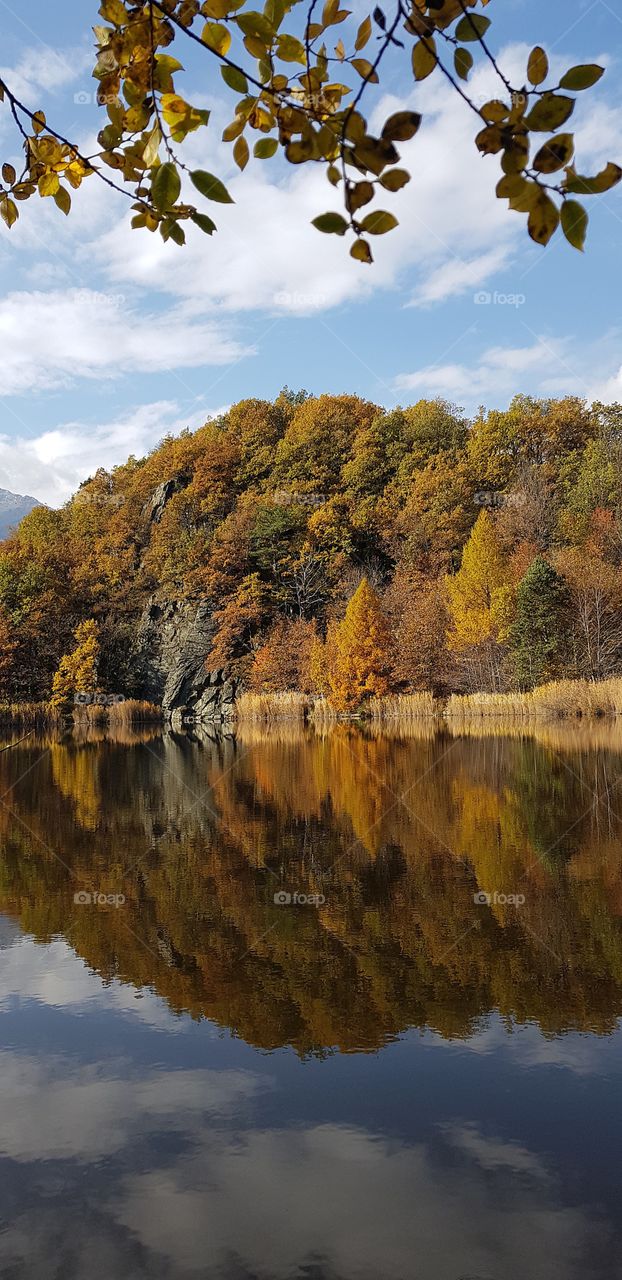 Autumn landscape