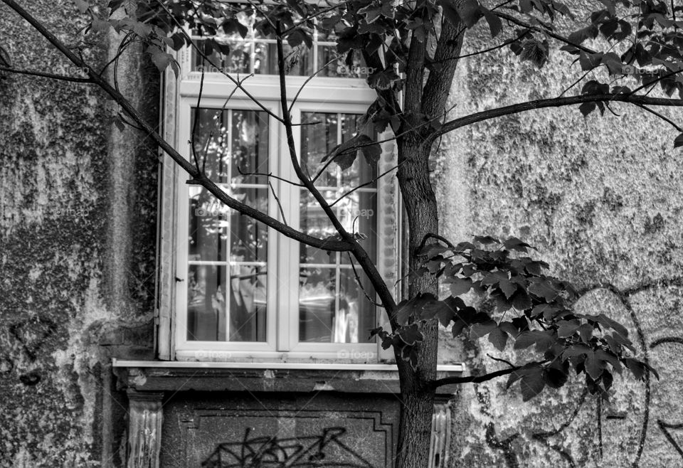 No Person, Old, Window, House, Wood