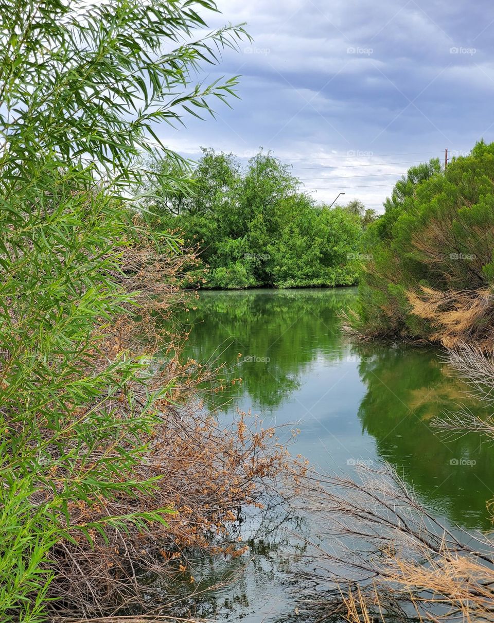 Reflections in the Lake