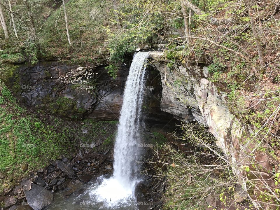 Lower Falls of Hills Creek