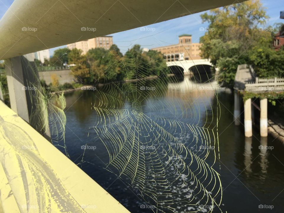 Urban River Web Designs